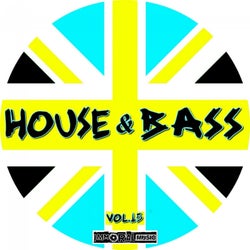 House & Bass, Vol. 15