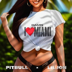 Damn I Love Miami