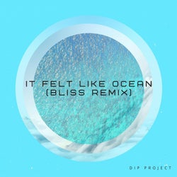 It Felt Like Ocean (Bliss Remix)