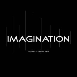 Imagination