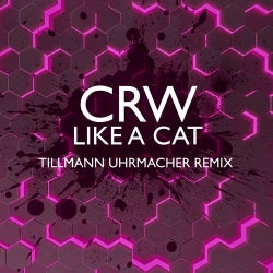Capa de Like A Cat (Tillmann Uhrmacher Remix)