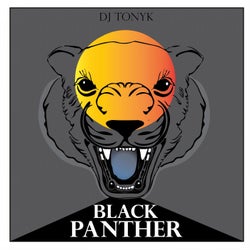 Black Panther (Radio Edit)