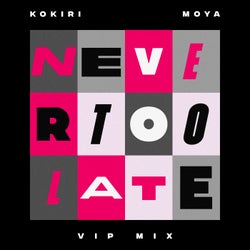 Never Too Late (VIP Extended Mix)