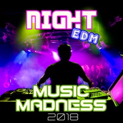 Night EDM Music Madness 2018 (Best of Electronic Moods, Summer Ibiza Party, Club Music Session)