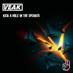 Kick A Hole In The Speaker