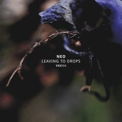 Leaving To Drops EP