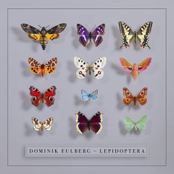 Lepidoptera