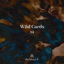 Wild Cards 14