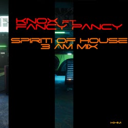 Spirit of House (3 AM Mix)