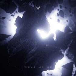 Wake Me Up (Extended mix)