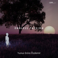 Endless Passion