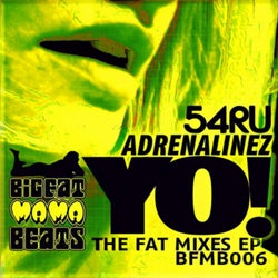 YO! The Fat Mixes EP