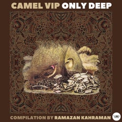 Camel VIP Only Deep (Compilation by Ramazan Kahraman)