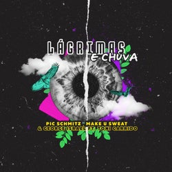 Lagrimas e Chuva (feat. Toni Garrido)