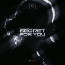 Capa de Secret For You - D&B VIP