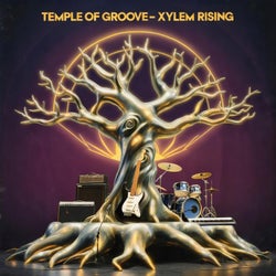 Xylem Rising