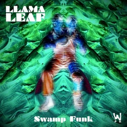 Swamp Funk