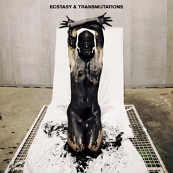 Ecstasy & Transmutations