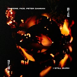 Burning