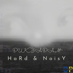 HaRd & NoisY
