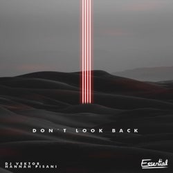 Don't Look Back (feat. Hannah Pisani)