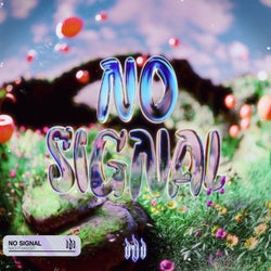 No Signal