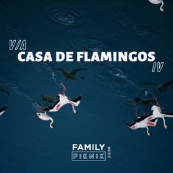 Casa de Flamingos IV
