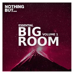Nothing But... Essential Big Room, Vol. 01