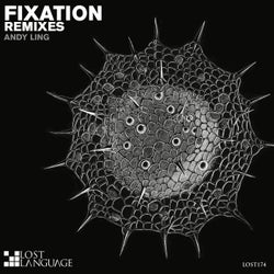 Fixation (Remixes)
