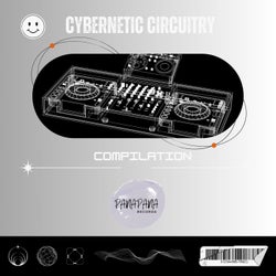 Cybernetic Circuitry