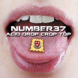 Acid Drop Crop Top