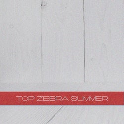 TOP Zebra Summer