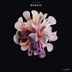 Mosaic Compilation