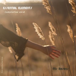 Essential Elements Compilation, Vol. 4
