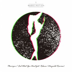 Feel What You Want (Maywald Remixes)