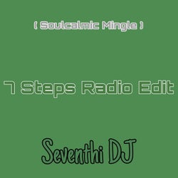 7 Steps Radio Edit (Soulcalmic Mingle)