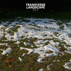 Transverse Landscape, Pt. 1