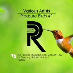 Pleasure Birds #1