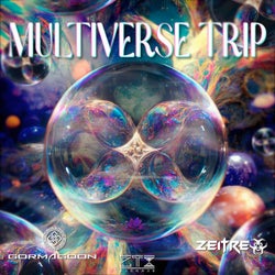 Multiverse Trip