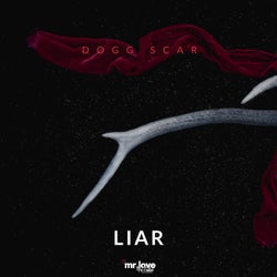 Liar