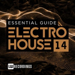 Essential Guide: Electro House, Vol. 14