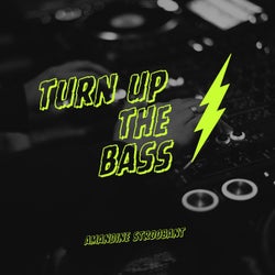Turn Up The Bass (Extended Mix)