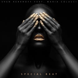 Sven kerkhoff "Special Beat" Charts