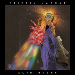 Acid Break