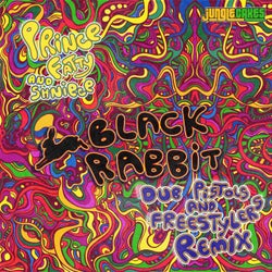 Black Rabbit (Dub Pistols & Freestylers Remix)