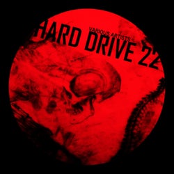 Hard Drive 22
