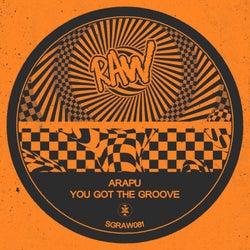 You Got The Groove