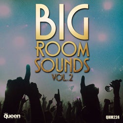 Big Room Sounds, Vol.2