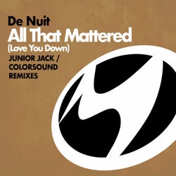 All That Mattered (Love You Down) (Junior Jack & Colorsound Remixes)