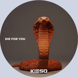 Die For You